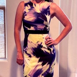 FLASH SALE: Work-to-play fitted dress